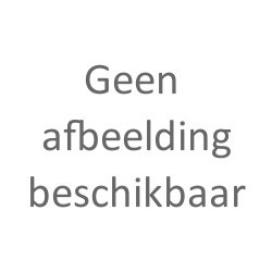 Set van 600 verschillende badeendjes DESIGN 5